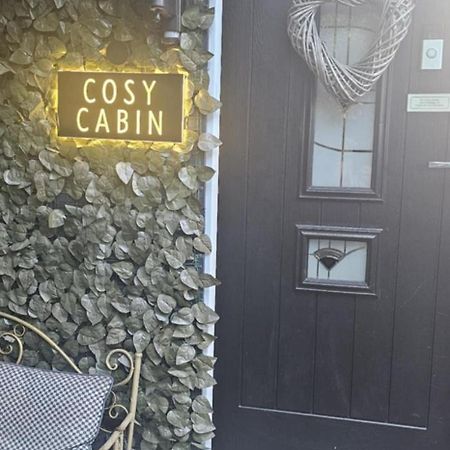 Belfast Cosy Cabin 외부 사진