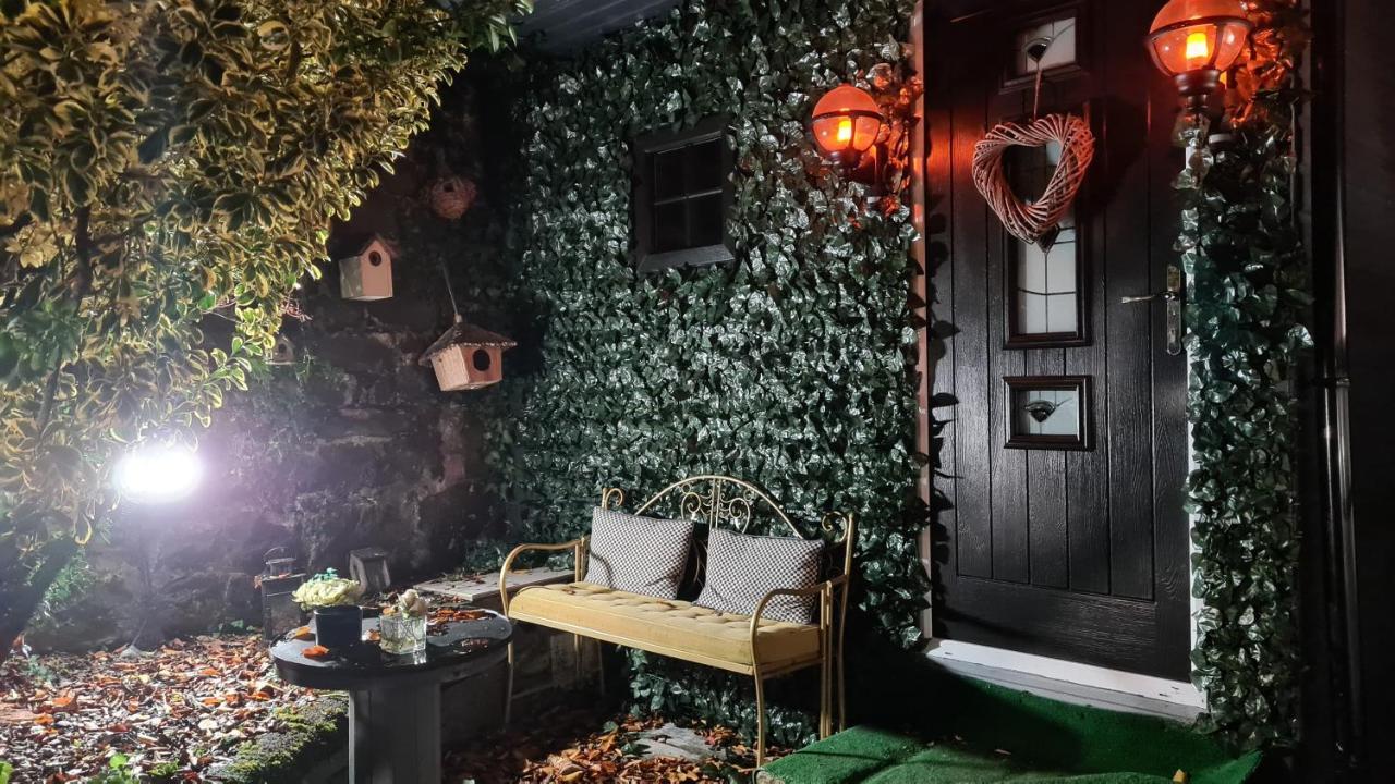 Belfast Cosy Cabin 외부 사진